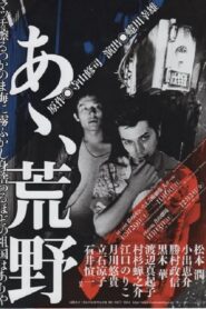 あゝ、荒野 Online En Netflix