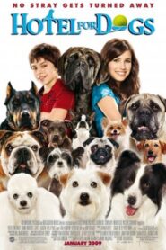 A Home for Everyone: The Making of ‘Hotel for Dogs’ Online En Netflix