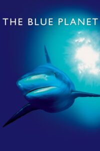The Blue Planet: Temporada 1 {year} En Netflix