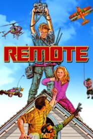 Remote Online En Netflix