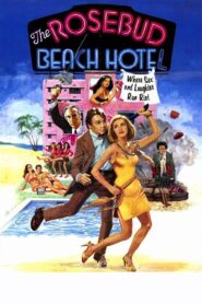 The Rosebud Beach Hotel Online En Netflix
