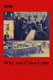 Why was Cairo Calm Online En Netflix