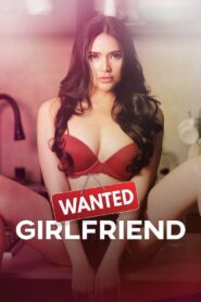 Wanted: Girlfriend Online En Netflix