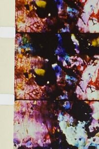 Lovesong 5 & 6 Online En Netflix