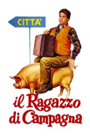 Il ragazzo di campagna Online En Netflix