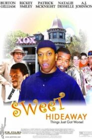 Sweet Hideaway Online En Netflix