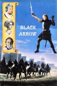 Black Arrow Online En Netflix