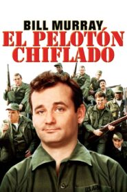 Stripes Online En Netflix