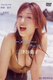 ノーメモリーウーマン Online En Netflix