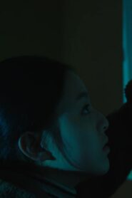개구리 Online En Netflix