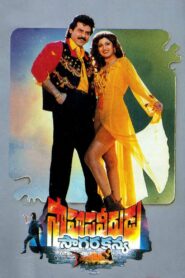 Saahasa Veerudu Saagara Kanya Online En Netflix