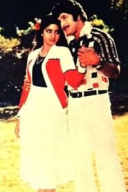 Gharaana Donga Online En Netflix