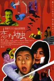 恋する幼虫 Online En Netflix