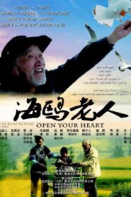 海鸥老人 Online En Netflix