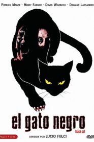 Black Cat: Gatto nero Online En Netflix