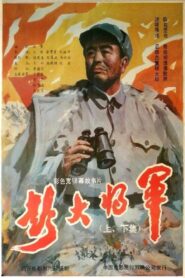 彭大将军 Online En Netflix