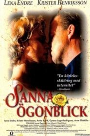 Sanna ögonblick Online En Netflix