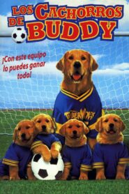 Air Bud 3: Los cachorros de Buddy Online En Netflix