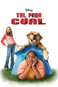 Life Is Ruff Online En Netflix