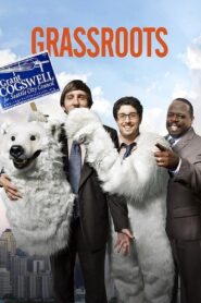 Grassroots Online En Netflix