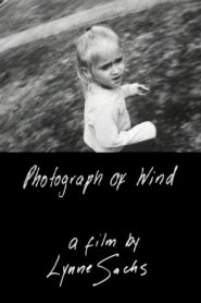 Photograph of Wind Online En Netflix