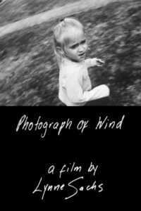 Photograph of Wind Online En Netflix