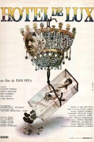 Hotel de lux Online En Netflix