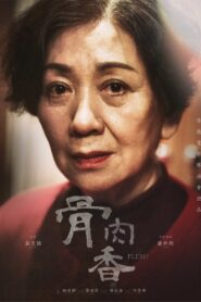 骨肉香 Online En Netflix