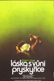 Láska s vůní pryskyřice Online En Netflix