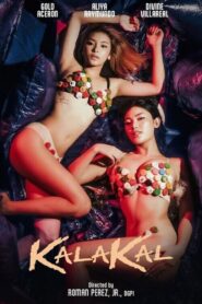 Kalakal Online En Netflix