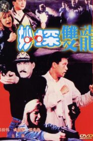 妙探雙龍 Online En Netflix