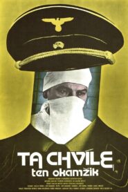 Ta chvíle, ten okamžik Online En Netflix