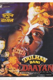 Dulhan Bani Daayan Online En Netflix
