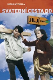 Svatební cesta do Jiljí Online En Netflix