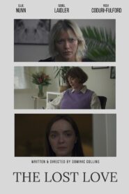 The Lost Love Online En Netflix