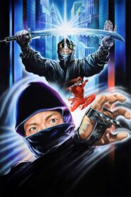 Ninja Champion Online En Netflix