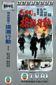 飞虎雄风II-抢滩行动 Online En Netflix