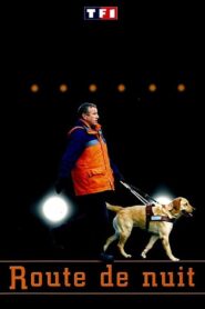 Route de nuit Online En Netflix