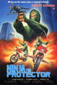Ninja the Protector Online En Netflix