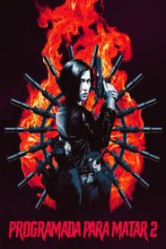 黑貓II：刺殺葉利欽 Online En Netflix