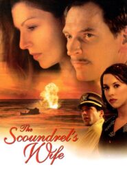 The Scoundrel’s Wife Online En Netflix