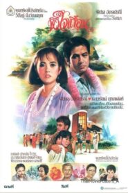หัวใจเถื่อน Online En Netflix