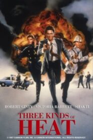 Three Kinds of Heat Online En Netflix