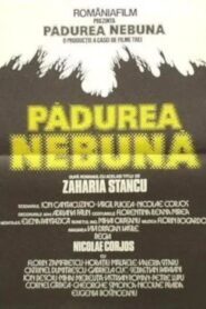Pădurea nebună Online En Netflix