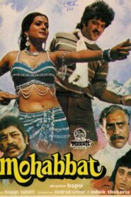 Mohabbat Online En Netflix