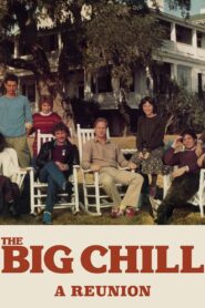 The Big Chill: A Reunion Online En Netflix