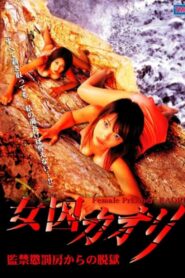 女囚カオリ　監禁懲罰房からの脱獄 Online En Netflix