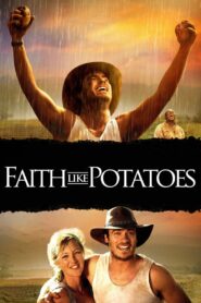 Faith Like Potatoes Online En Netflix