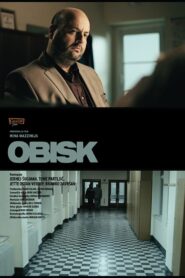 Obisk Online En Netflix