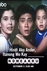 Hindi Ako Ander, Tanong Mo Kay Kumander Online En Netflix